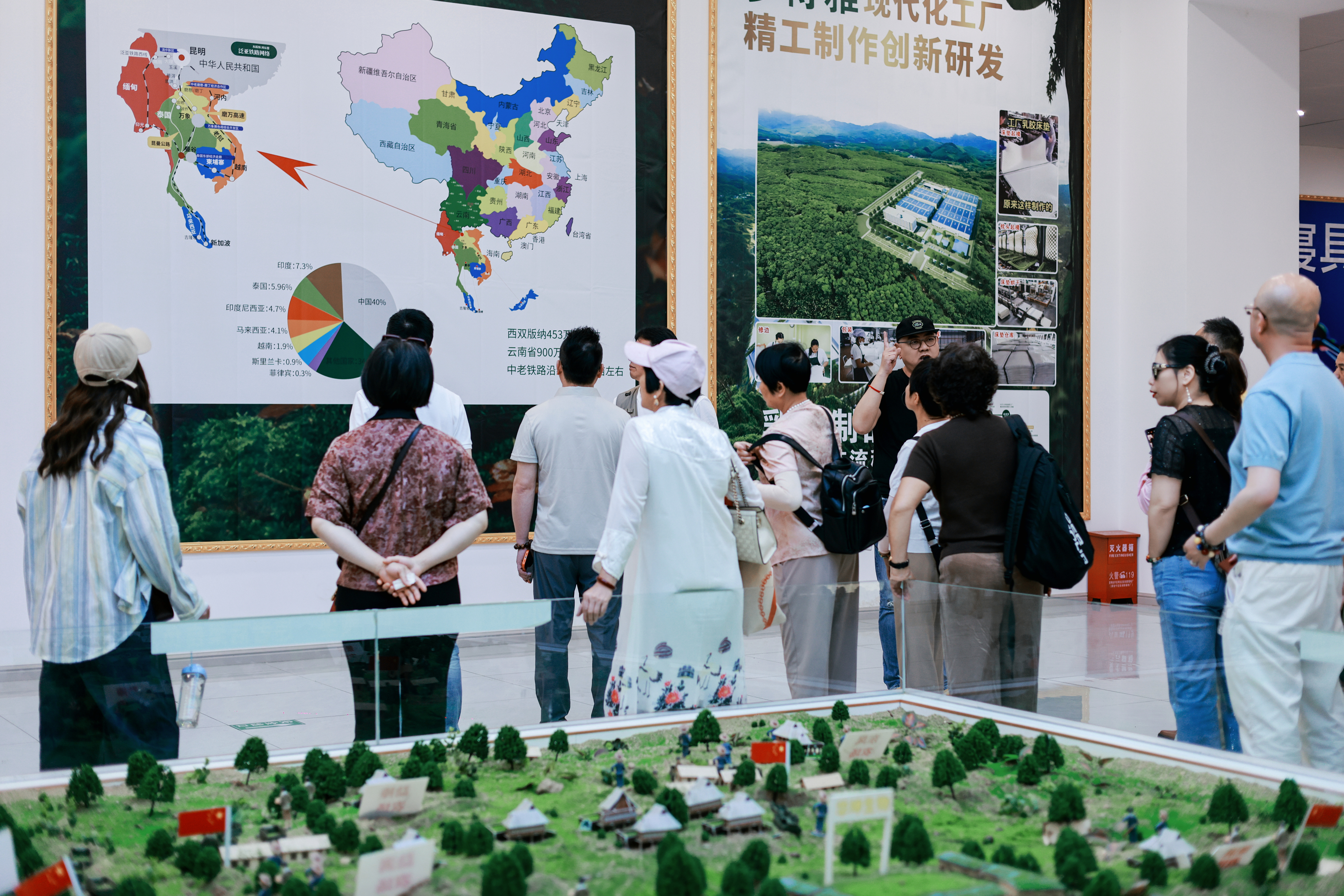 生态橡胶林种植考察1
