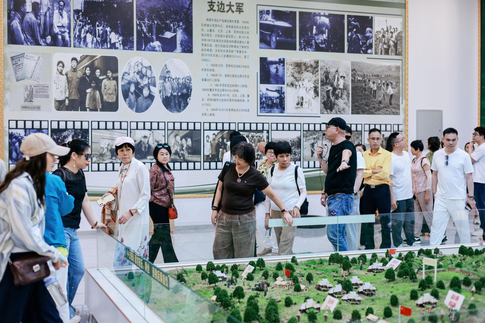 生态橡胶林种植考察2